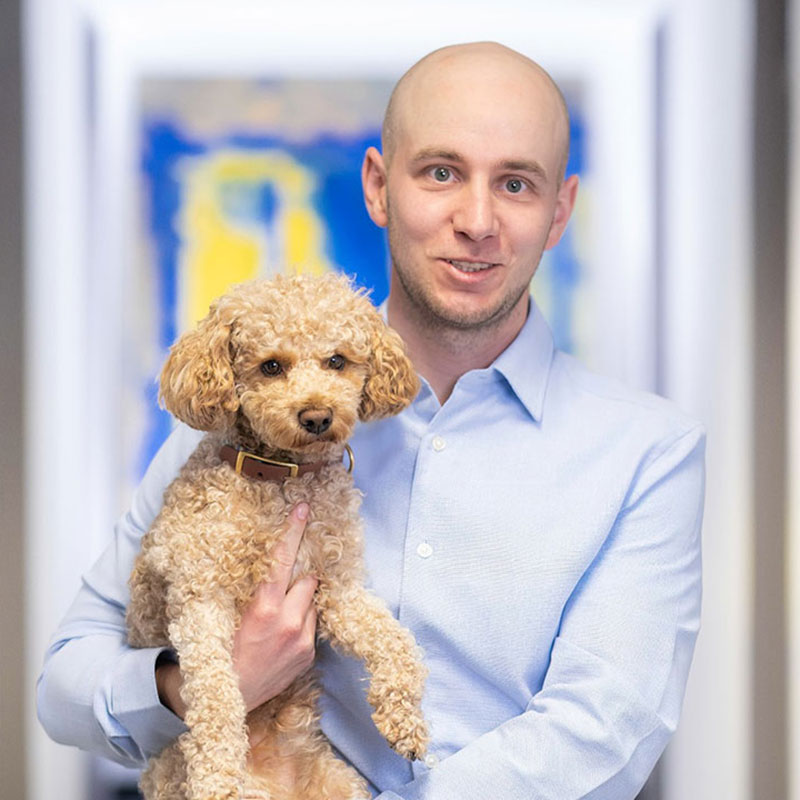 Jobs Steuerberater Düsseldorf - Hundefreundliche Steuerkanzlei